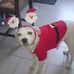 Robert Devaux - Facebook