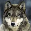 Robert Deveney618 - @robertdeveney618 - TikTok
