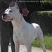 Robert Devolder - Facebook