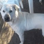 Roberto Devolder - @devolderroberto - Instagram