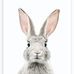 Robert Dick - Facebook