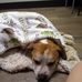 Robert Dickerson  - Facebook
