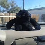 Robert Dickinson - @dickinson_robert - Instagram