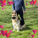 Robert Dickson - @robert_dickson - Instagram