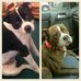 Bob Dignam - Facebook