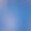 Robert Di Rienzo - @robertd1001 - TikTok