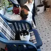 Robert Dittmann - @robert.dittmann - TikTok