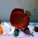 Robert Dittmann - Facebook