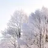 robertdittmann348 - @robertdittmann348 - TikTok