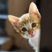 Robert Daudi - Facebook