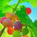 Robert Tetteh - Facebook