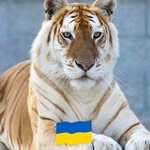 Robert Diver - @robert.diver.73 - Instagram