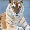 Robert Diver - @robert.diver2 - TikTok
