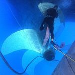 Robert Robinho - @robertdiver32 - Instagram