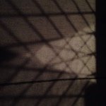 ROBERTDIVERSHERRICK - @robertdiversherrick - Instagram