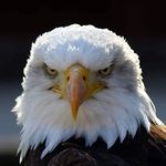 Roberto Di Vincenzo - @roberto.divincenzo.142 - Instagram