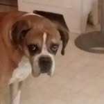robert divittorio - @divittoriorobert - Instagram