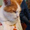 Robert Dobies242 - @robertdobies242 - TikTok
