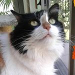 Robert Dobies - @radobies750 - Instagram