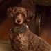 Robert L Dockins - Facebook