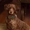 robertldockins - @robert.l.dockinsb - TikTok