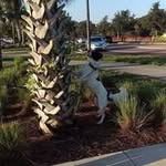 Robert Doe - @robert.doe.589100 - Instagram