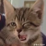 Robert - @robertdoessstuff - Instagram