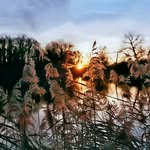 FILMEMACHER & FOTOGRAF - @robert.doerr_videography - Instagram