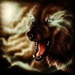 Brodie joshua robert doig - @doigy_jnr_77 - Instagram