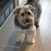 Robert Doig - Facebook