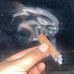 Robert Dolph - Facebook
