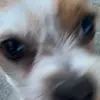 Robertdon🦦 - @rrobwave - TikTok
