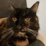 robert Doolittle - @trebor8430 - Instagram
