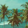 Robert Doria - @robert_doria21 - TikTok