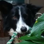 Robert Dorrington - @rob.dorrington - Instagram