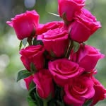 Robert dosier - @robertd2500 - Instagram