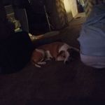 Robert Dougherty - @robert.dougherty.587 - Instagram