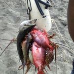 Robert Dowden - @robert.dowden.50 - Instagram