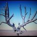 Robert Dowdle - Facebook
