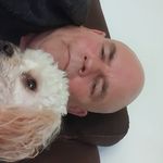 robert downs - @robertdowns973 - Instagram