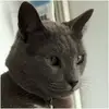 Robert Driesen - @robertdriesen - TikTok
