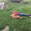 robertdriesel - @robertdriesel - TikTok