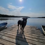 Robert Driskell - Facebook