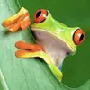 Robert - @robertdrouin - TikTok