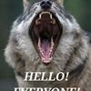 robert wolf duffin - @robertwolfduffin - TikTok