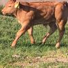 robertduffin105 - @robertduffin105 - TikTok