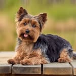 Robert24 - @robert_dunkin - Instagram