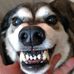 Robert Dunkin - Facebook