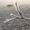 Robert Dunkle II - @howisurdaytoday - TikTok