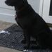Robert Dunning - Facebook